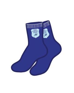 FPS SILICON SOCKS BLUE 5 PACK